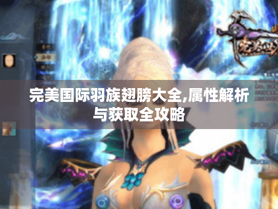 完美国际羽族翅膀大全,属性解析与获取全攻略