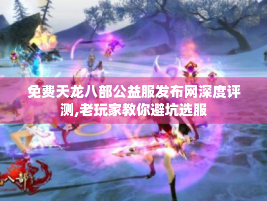 免费天龙八部公益服发布网深度评测,老玩家教你避坑选服