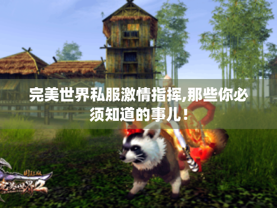 完美世界私服激情指挥,那些你必须知道的事儿！