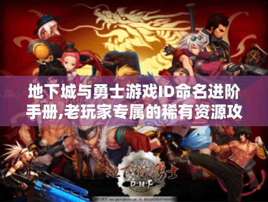 地下城与勇士游戏ID命名进阶手册,老玩家专属的稀有资源攻略