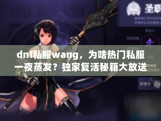 dnf私服wang,为啥热门私服一夜蒸发?独家复活秘籍大放送 dnf私服wang,为啥热门私服一夜蒸发?独家复活秘籍大放送
