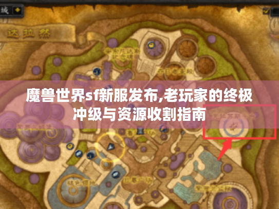 魔兽世界sf新服发布,老玩家的终极冲级与资源收割指南