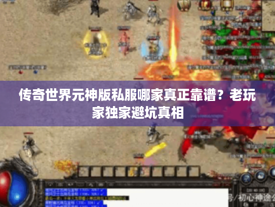 传奇世界元神版私服哪家真正靠谱?老玩家独家避坑真相 传奇世界元神版私服哪家真正靠谱?老玩家独家避坑真相