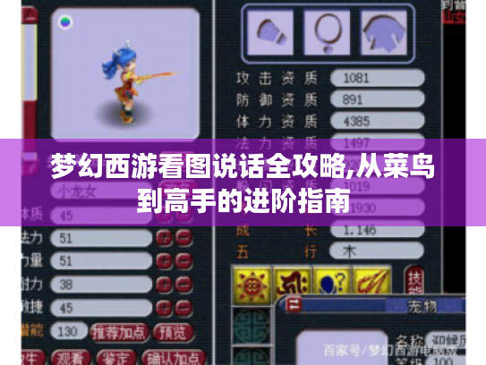 梦幻西游看图说话全攻略,从菜鸟到高手的进阶指南