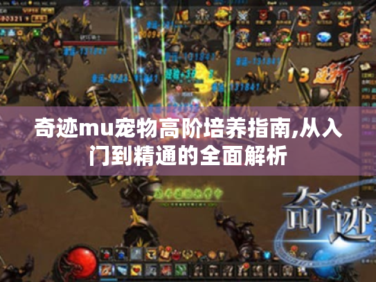 奇迹mu宠物高阶培养指南,从入门到精通的全面解析