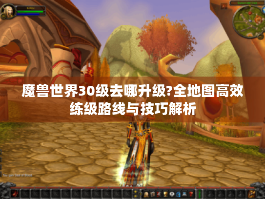 魔兽世界30级去哪升级?全地图高效练级路线与技巧解析