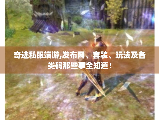 奇迹私服端游,发布网、套装、玩法及各类码那些事全知道！