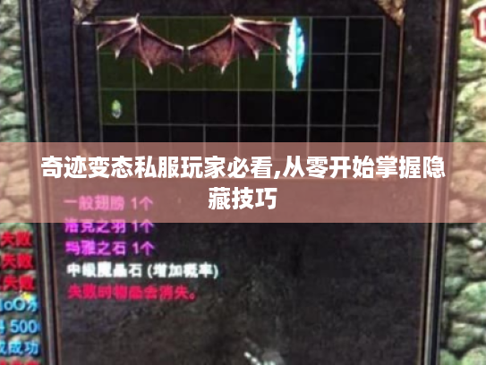 奇迹变态私服玩家必看,从零开始掌握隐藏技巧
