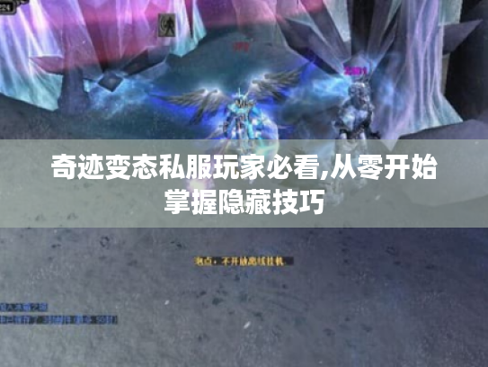 奇迹变态私服玩家必看,从零开始掌握隐藏技巧