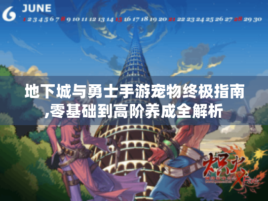 地下城与勇士手游宠物终极指南,零基础到高阶养成全解析 地下城与勇士手游宠物终极指南,零基础到高阶养成全解析