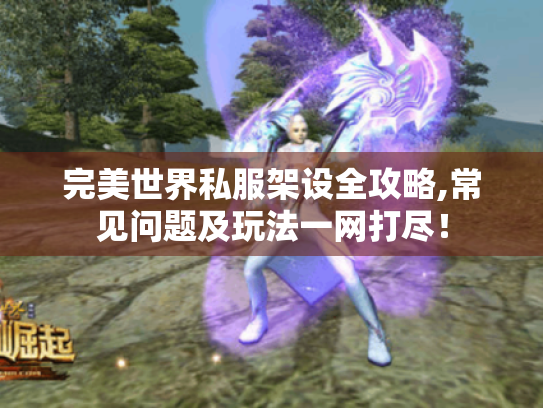 完美世界私服架设全攻略,常见问题及玩法一网打尽！