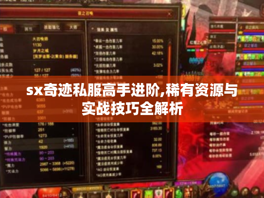 sx奇迹私服高手进阶,稀有资源与实战技巧全解析