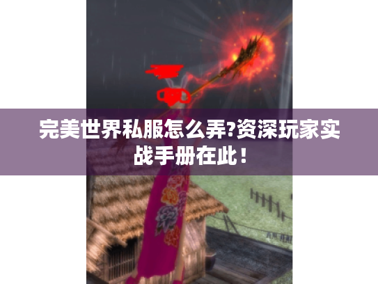 完美世界私服怎么弄?资深玩家实战手册在此！