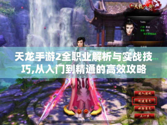 天龙手游2全职业解析与实战技巧,从入门到精通的高效攻略