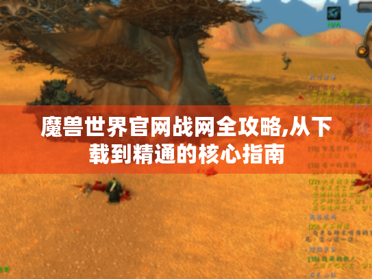 魔兽世界官网战网全攻略,从下载到精通的核心指南
