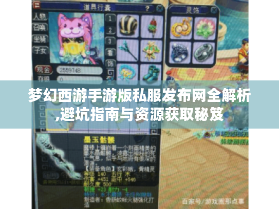 梦幻西游手游版私服发布网全解析,避坑指南与资源获取秘笈