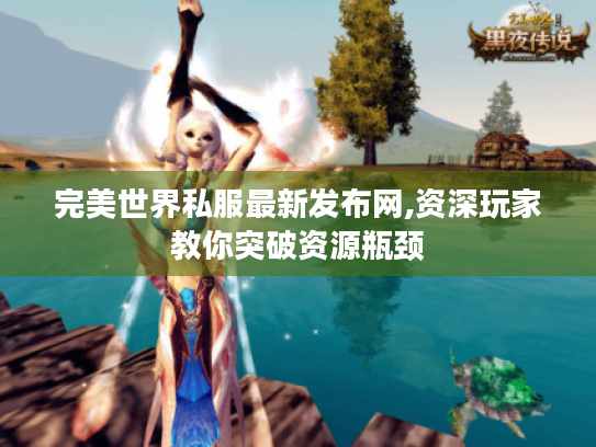 完美世界私服最新发布网,资深玩家教你突破资源瓶颈