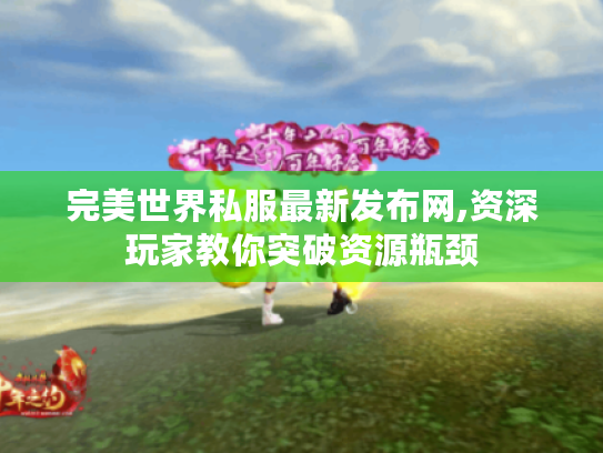 完美世界私服最新发布网,资深玩家教你突破资源瓶颈