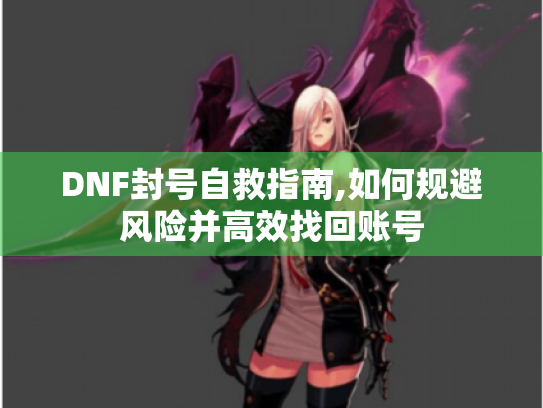 DNF封号自救指南,如何规避风险并高效找回账号