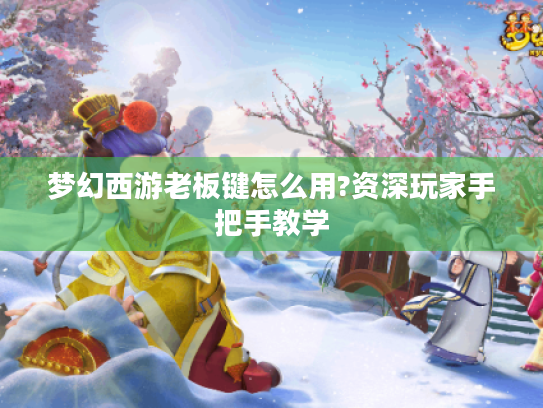 梦幻西游老板键怎么用?资深玩家手把手教学 梦幻西游老板键怎么用?资深玩家手把手教学