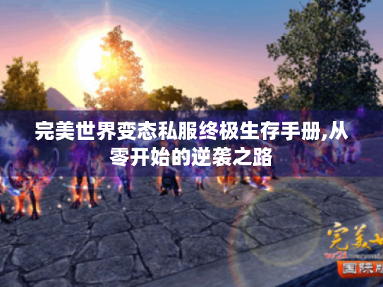 完美世界变态私服终极生存手册,从零开始的逆袭之路