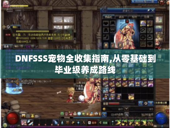 DNFSSS宠物全收集指南,从零基础到毕业级养成路线