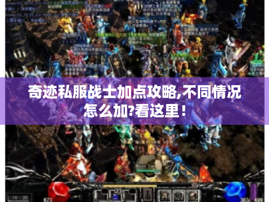 奇迹私服战士加点攻略,不同情况怎么加?看这里！