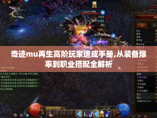 奇迹mu再生高阶玩家速成手册,从装备爆率到职业搭配全解析