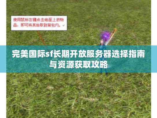 完美国际sf长期开放服务器选择指南与资源获取攻略