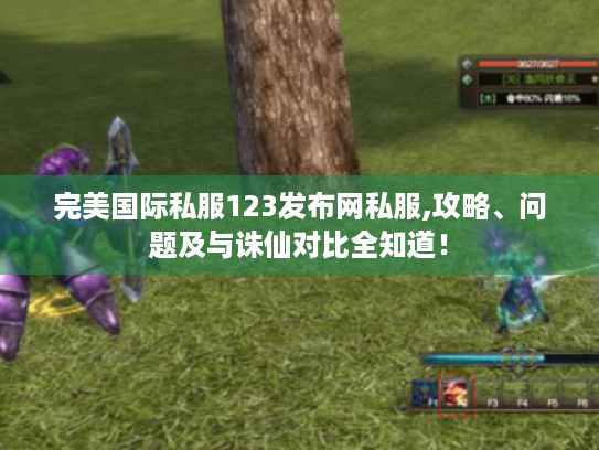 完美国际私服123发布网私服,攻略、问题及与诛仙对比全知道！