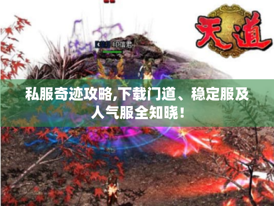 私服奇迹攻略,下载门道、稳定服及人气服全知晓! 私服奇迹攻略,下载门道、稳定服及人气服全知晓!