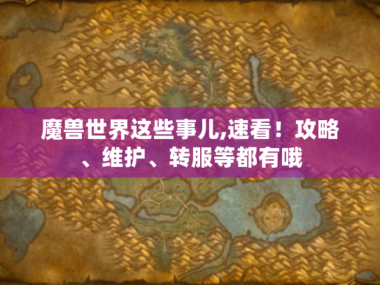魔兽世界这些事儿,速看！攻略、维护、转服等都有哦