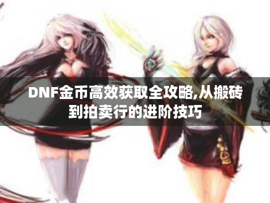 DNF金币高效获取全攻略,从搬砖到拍卖行的进阶技巧