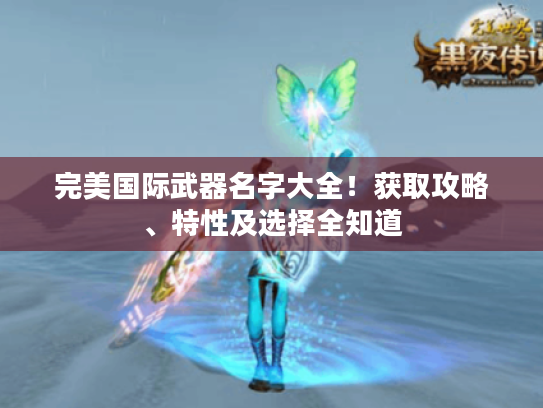 完美国际武器名字大全！获取攻略、特性及选择全知道