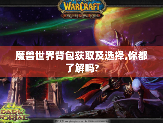 魔兽世界背包获取及选择,你都了解吗? 魔兽世界背包获取及选择,你都了解吗?