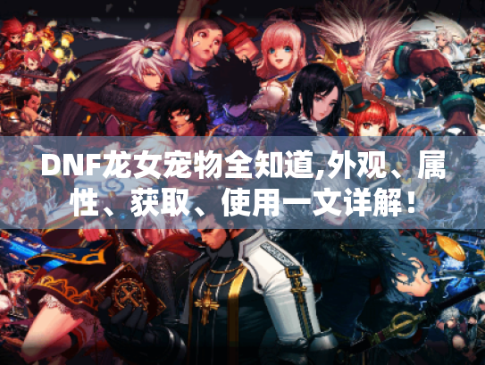 DNF龙女宠物全知道,外观、属性、获取、使用一文详解！
