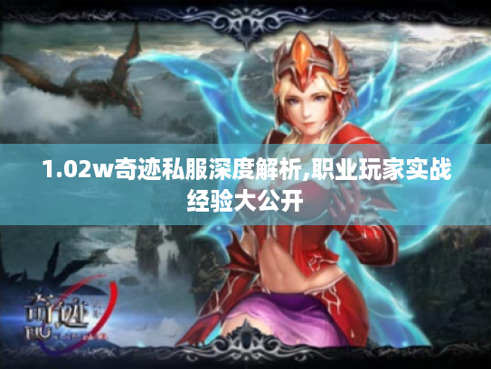 1.02w奇迹私服深度解析,职业玩家实战经验大公开