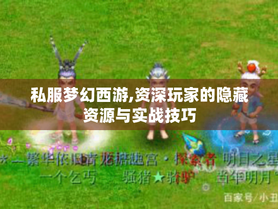 私服梦幻西游,资深玩家的隐藏资源与实战技巧