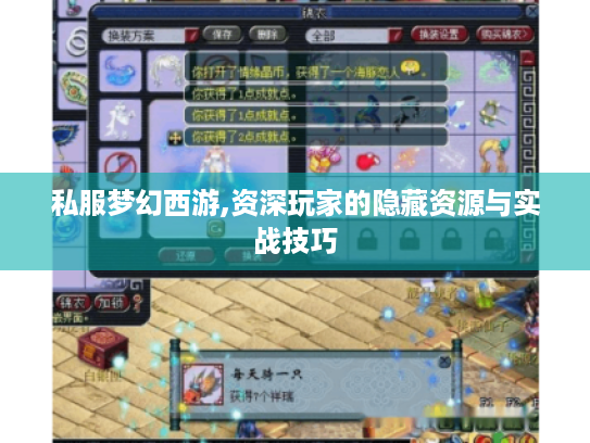 私服梦幻西游,资深玩家的隐藏资源与实战技巧