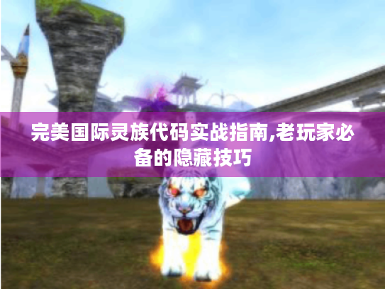 完美国际灵族代码实战指南,老玩家必备的隐藏技巧