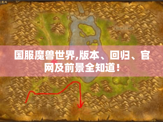 国服魔兽世界,版本、回归、官网及前景全知道！
