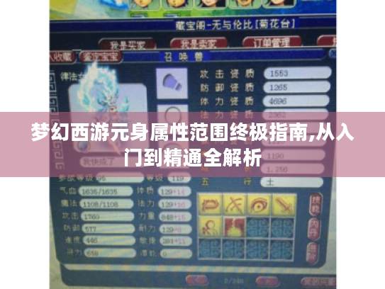 梦幻西游元身属性范围终极指南,从入门到精通全解析