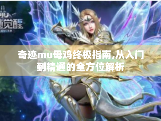 奇迹mu母鸡终极指南,从入门到精通的全方位解析 奇迹mu母鸡终极指南,从入门到精通的全方位解析