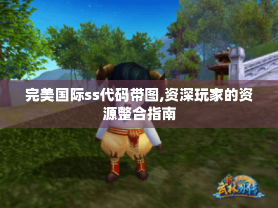 完美国际ss代码带图,资深玩家的资源整合指南