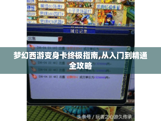 梦幻西游变身卡终极指南,从入门到精通全攻略