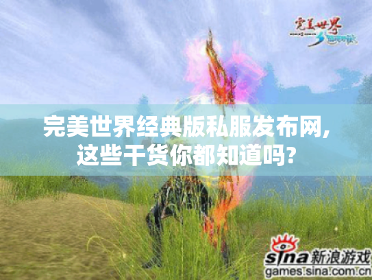 完美世界经典版私服发布网,这些干货你都知道吗? 完美世界经典版私服发布网,这些干货你都知道吗?