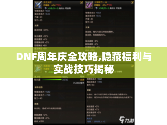 DNF周年庆全攻略,隐藏福利与实战技巧揭秘