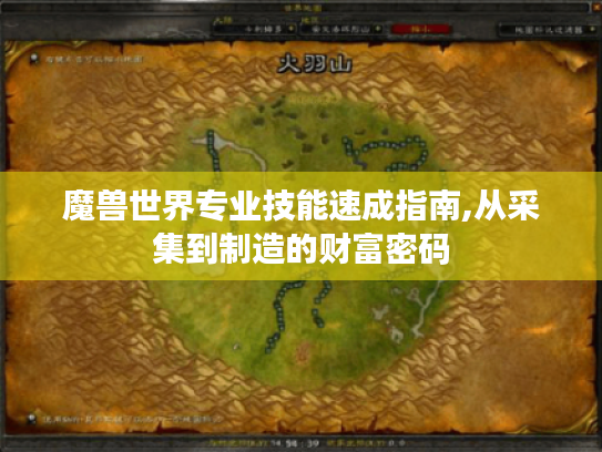 魔兽世界专业技能速成指南,从采集到制造的财富密码