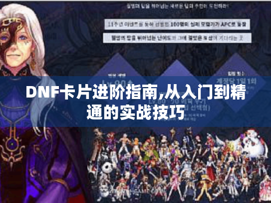 DNF卡片进阶指南,从入门到精通的实战技巧