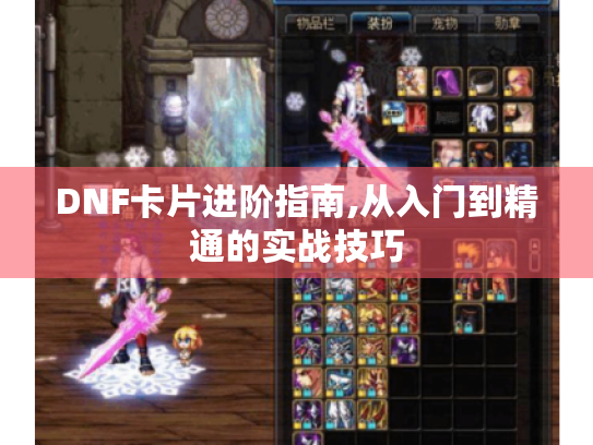 DNF卡片进阶指南,从入门到精通的实战技巧